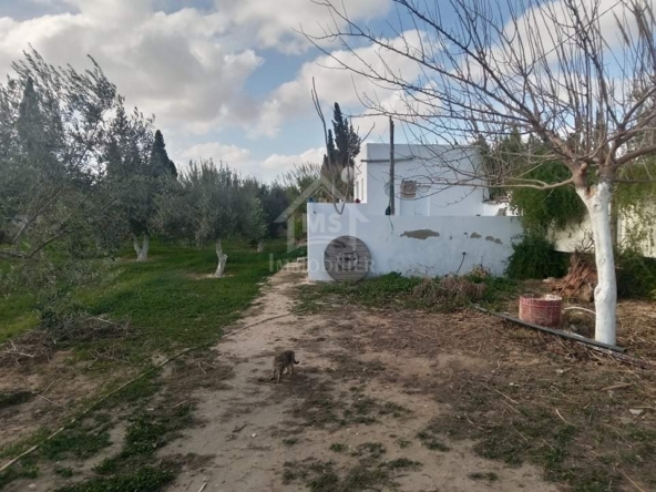 Land in Nabeul,Mrezga Hammamet