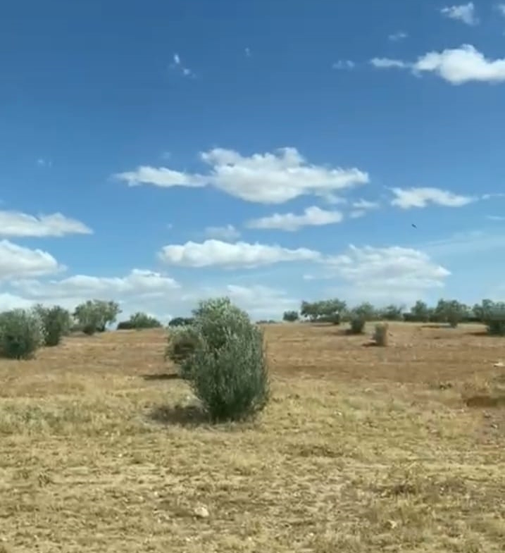 Land in Kef,Le kef ouest