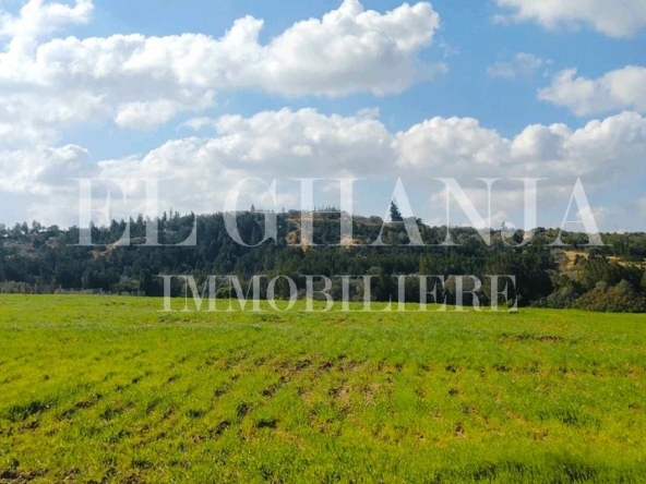Farm in Nabeul,