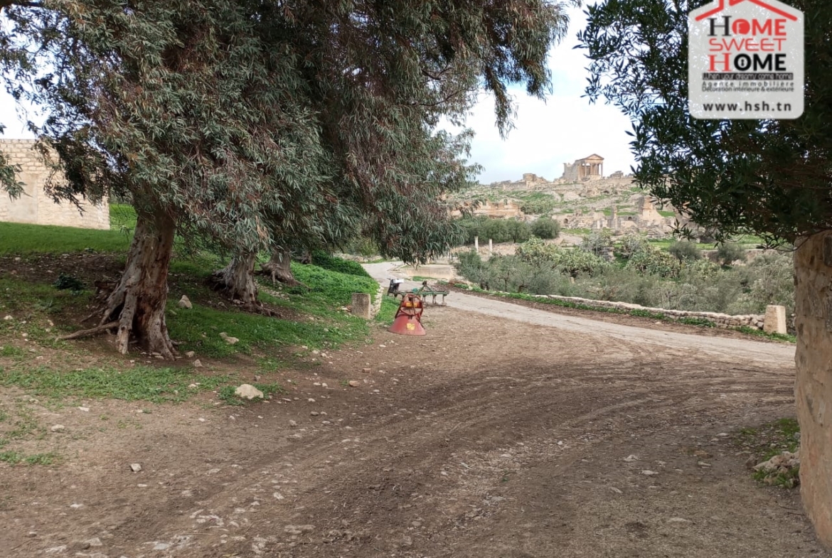 Land in Beja,Teboursouk