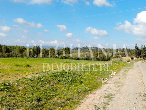 Farm in Nabeul,