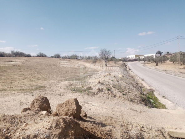 Land in Nabeul,Hammamet Sud