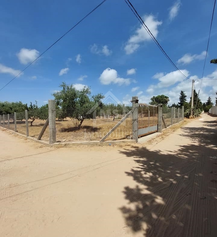 Land in Nabeul,Hammamet Nord