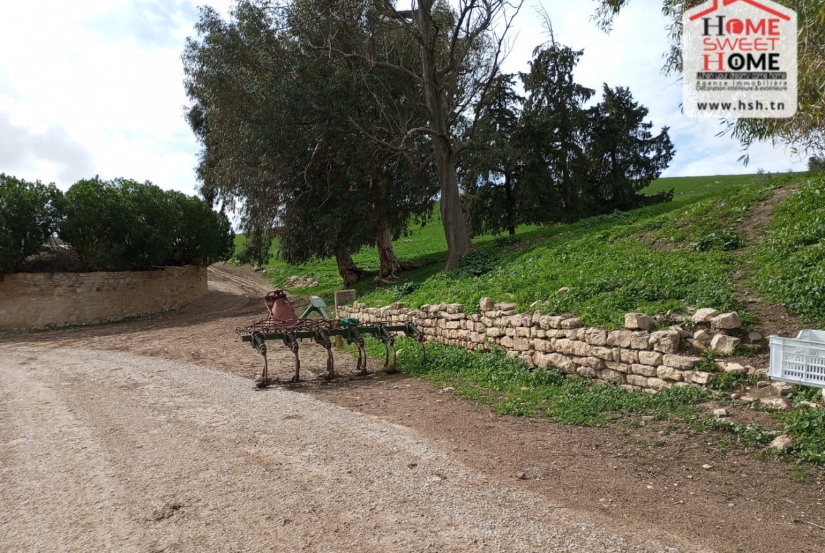 Land in Beja,Teboursouk