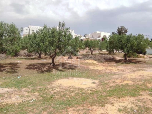 Land in Nabeul,