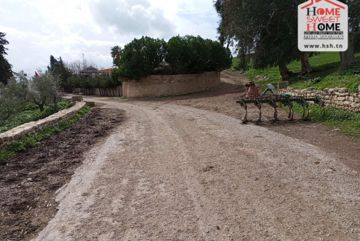 Land in Beja,Teboursouk