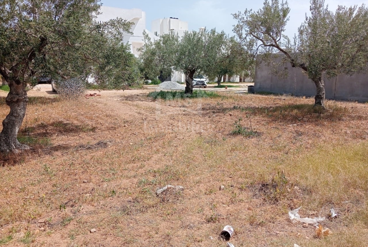 Land in Nabeul,Hammamet Nord