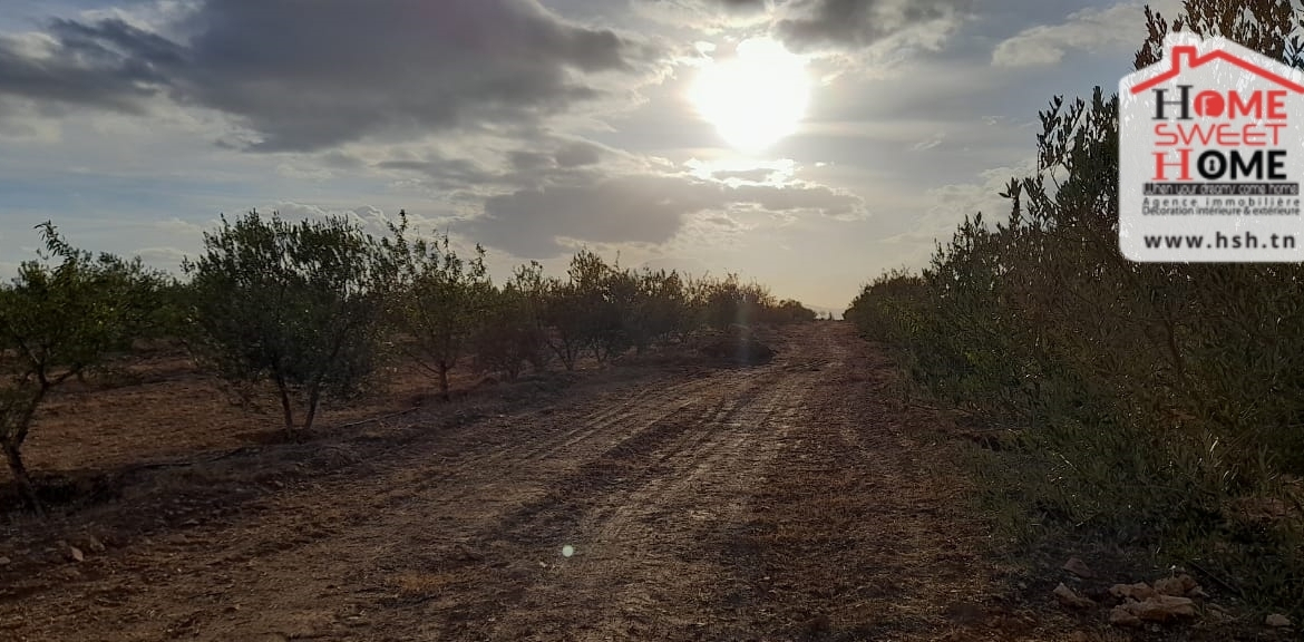 Land in Kef,Le kef est