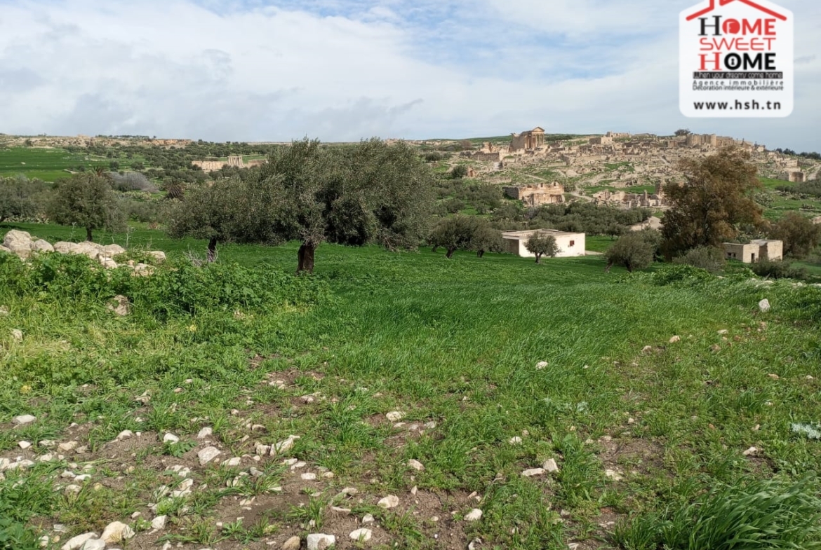 Land in Beja,Teboursouk