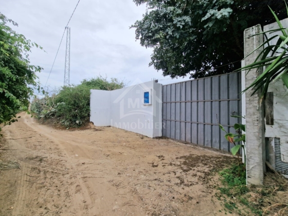 Land in Nabeul,