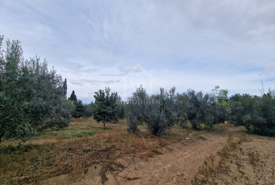 Land in Nabeul,