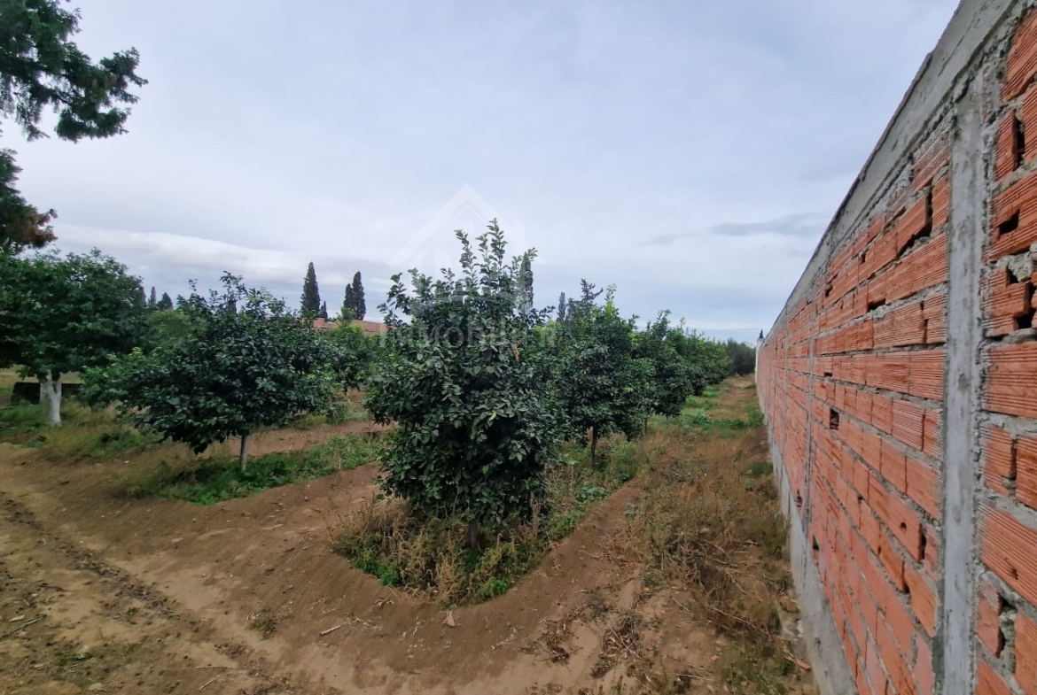 Land in Nabeul,