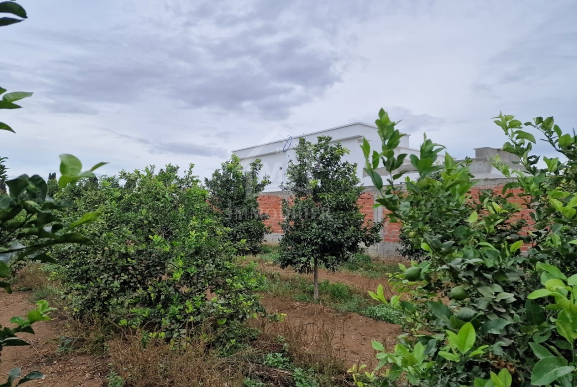 Land in Nabeul,