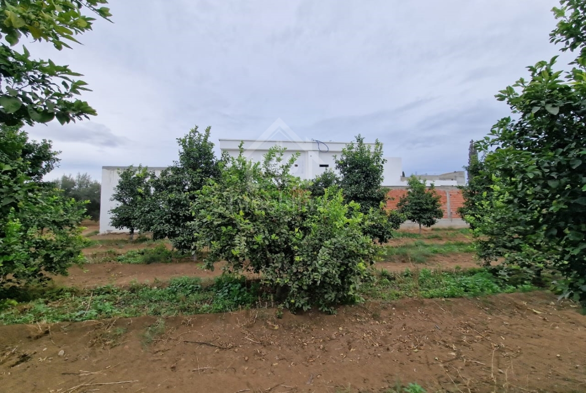 Land in Nabeul,