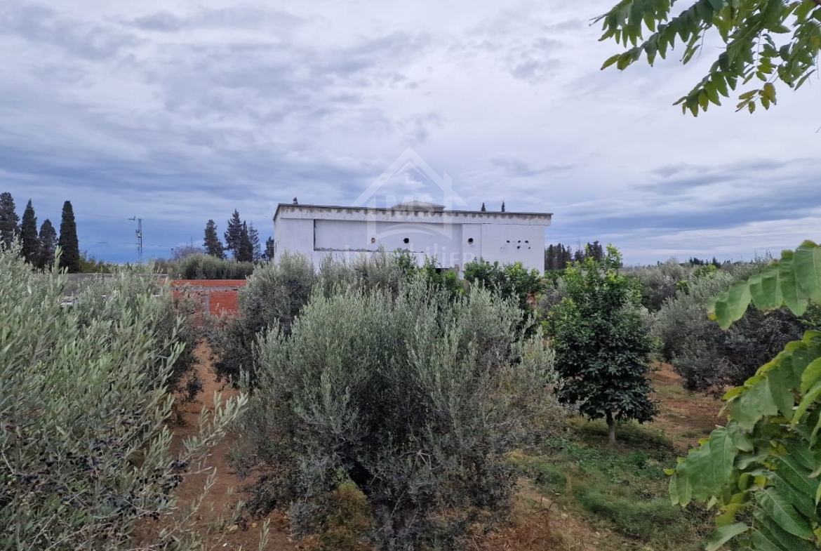 Land in Nabeul,