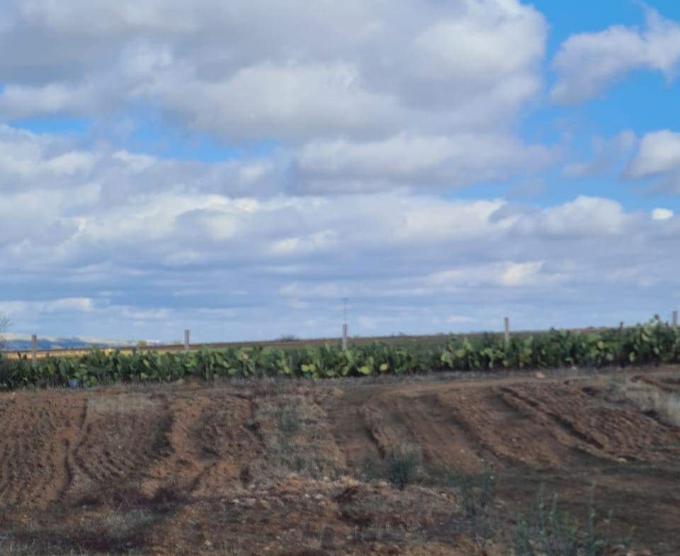 Land in Kef,Le kef est
