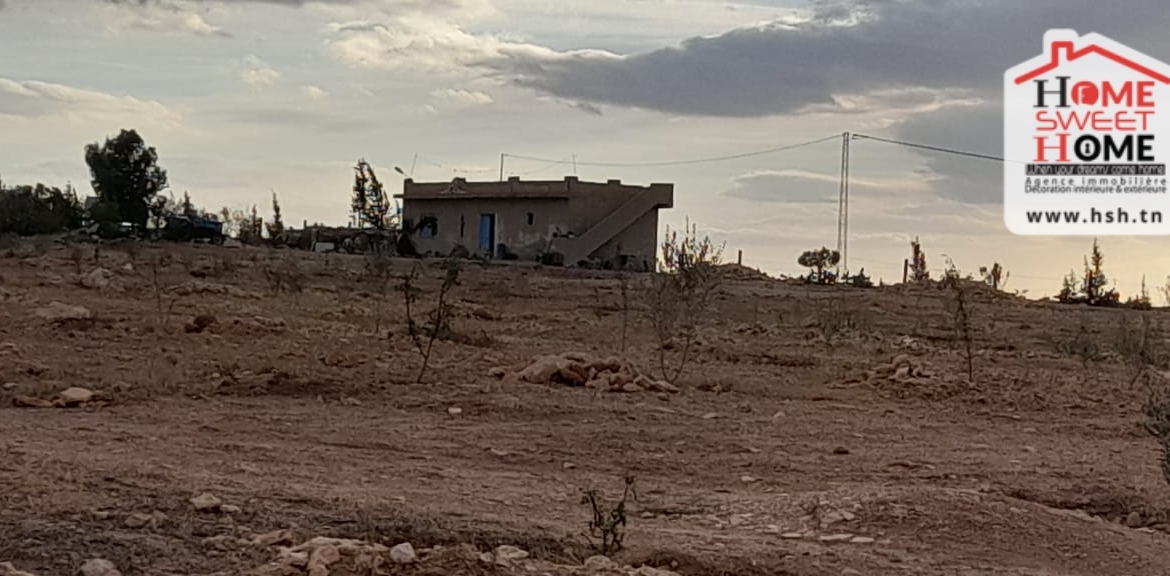 Land in Kef,Le kef est