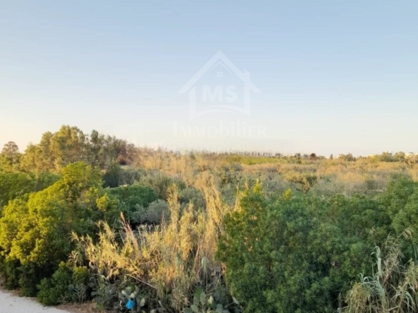 Apartment in Nabeul,Beni khiar