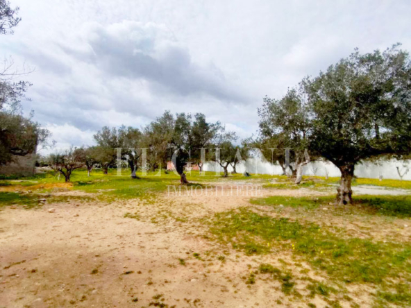 Land in Nabeul,