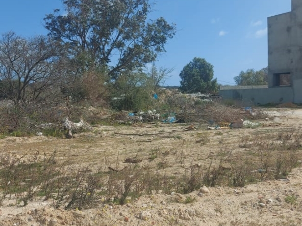 Land in Tunis,