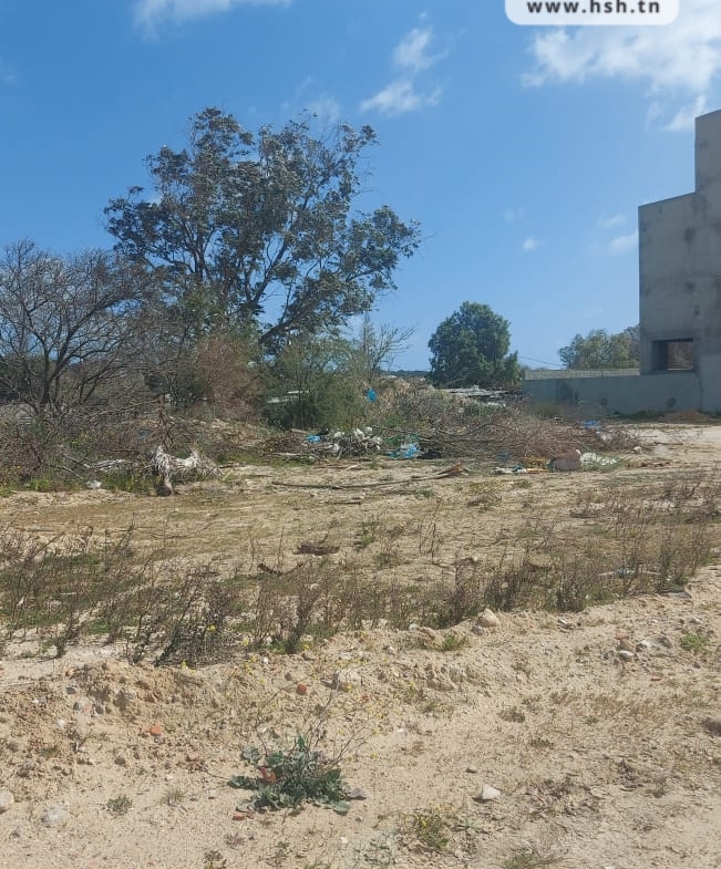 Land in Tunis,
