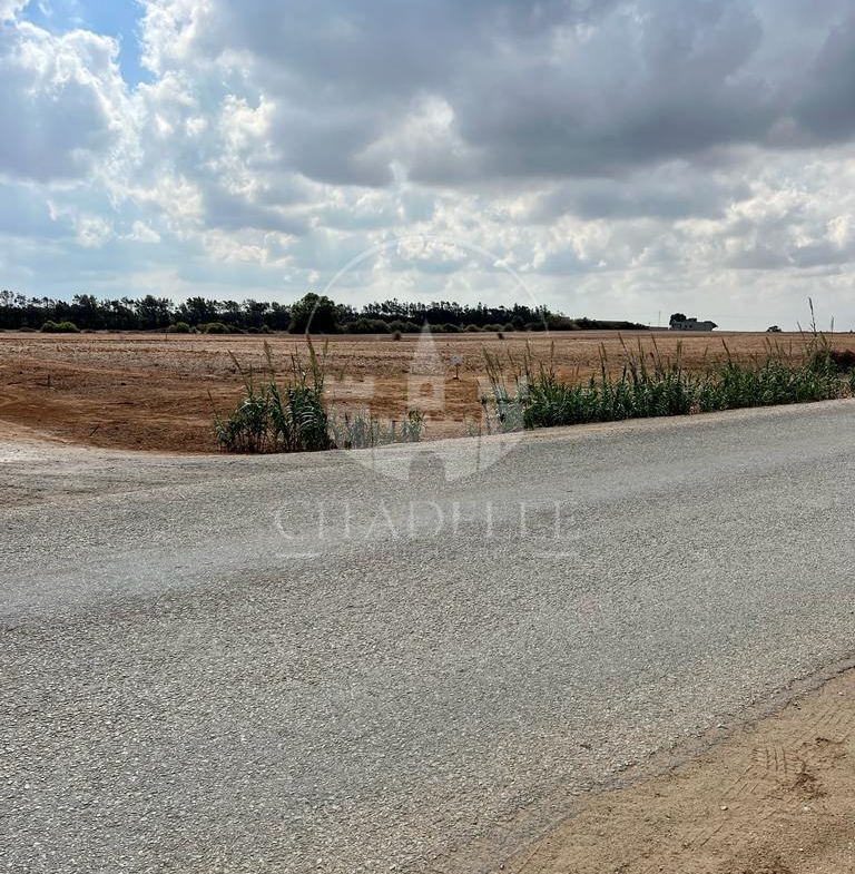 Land in Nabeul,Kelibia