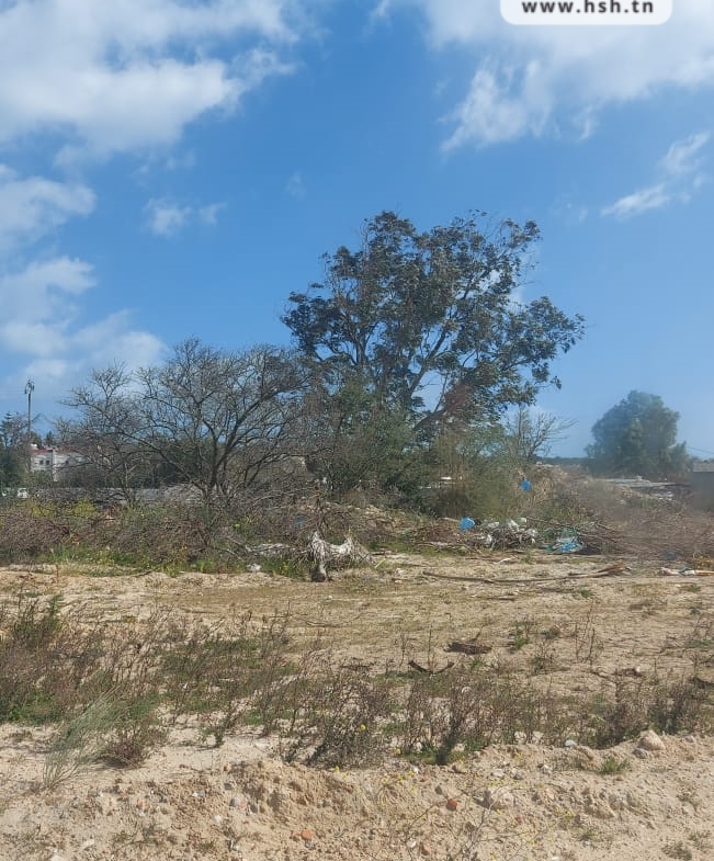 Land in Tunis,