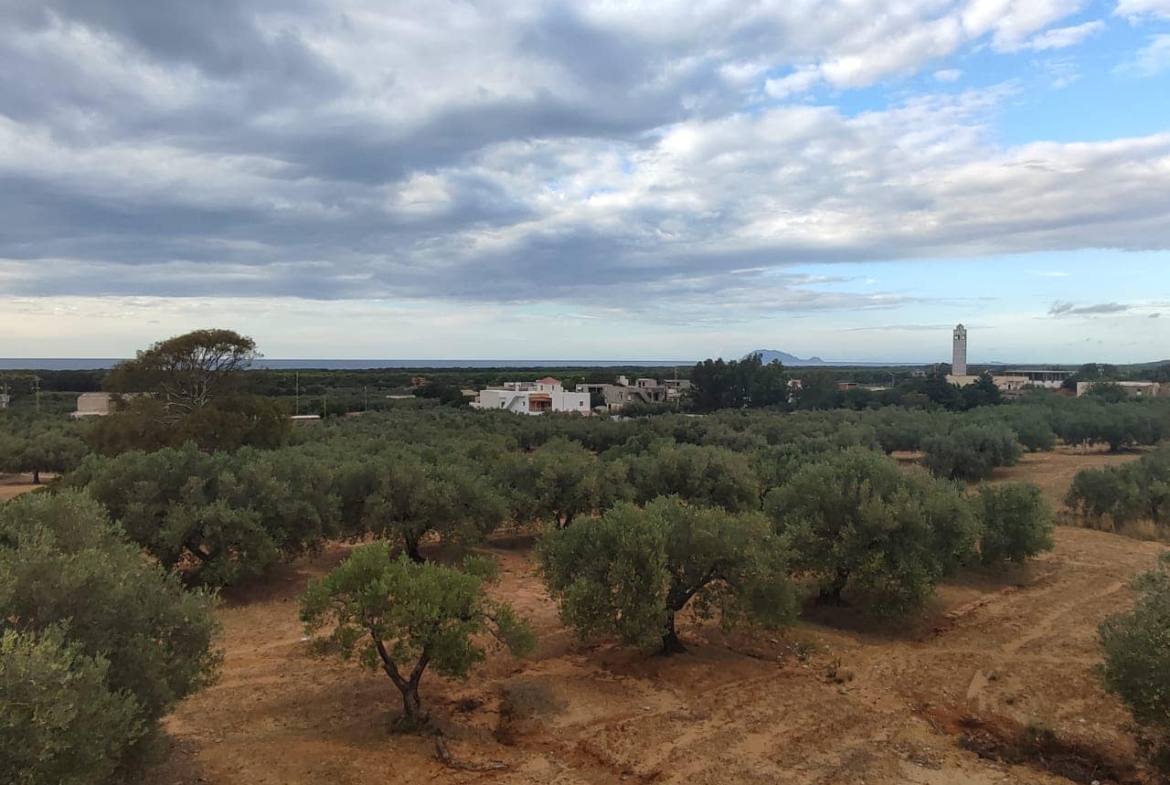 Land in Nabeul,Takelsa