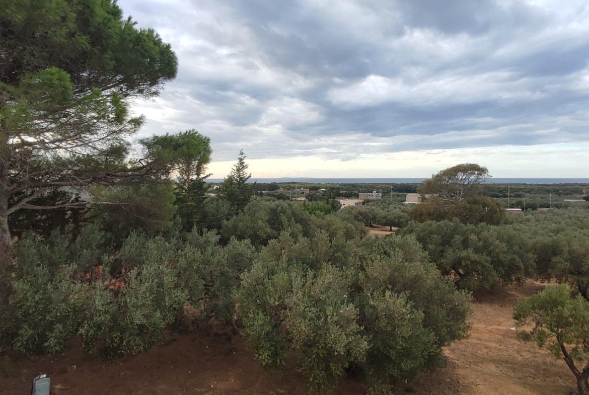 Land in Nabeul,Takelsa