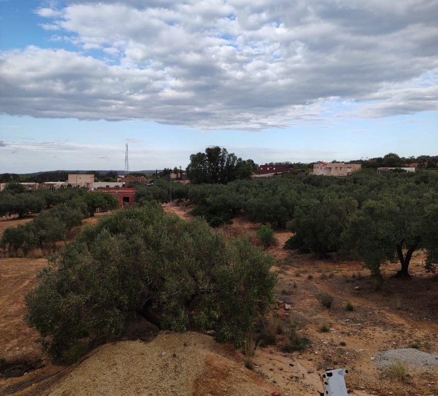 Land in Nabeul,Takelsa
