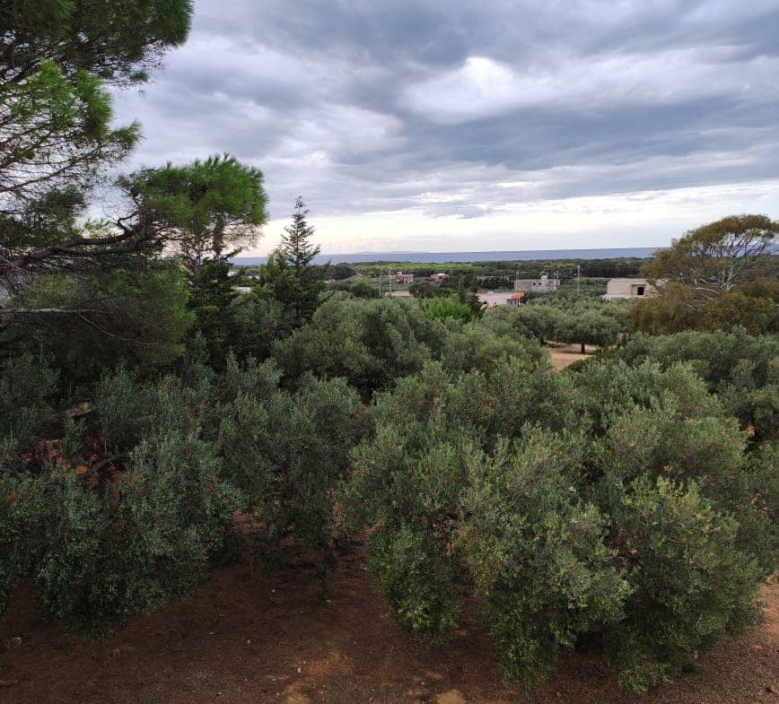 Land in Nabeul,Takelsa