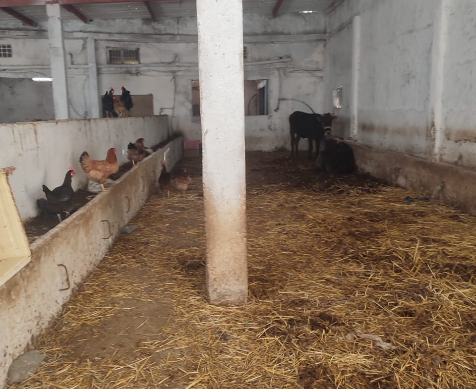 Farm in Nabeul,Nabeul