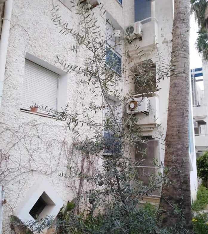 Apartment in Tunis,