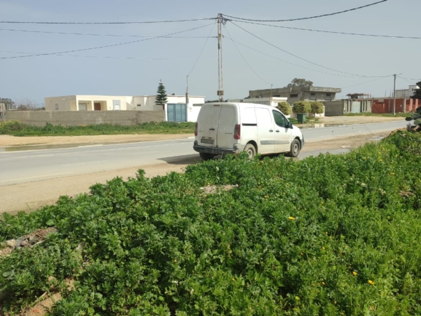 Land in Nabeul,Kelibia