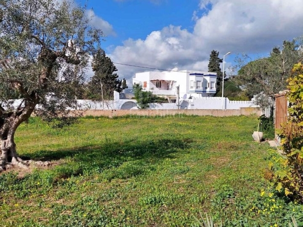 Land in Nabeul,