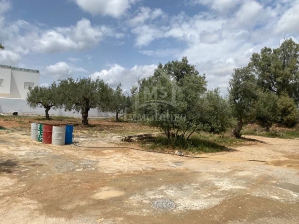 Land in Nabeul,