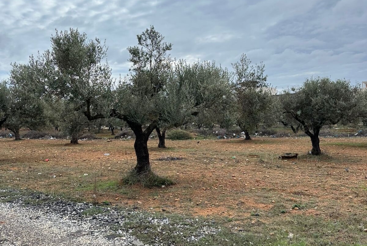 Land in Ariana,Mnihla