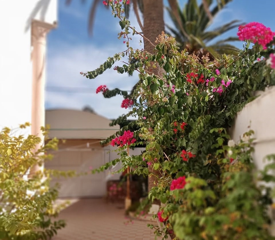 Villa in Nabeul,Nabeul