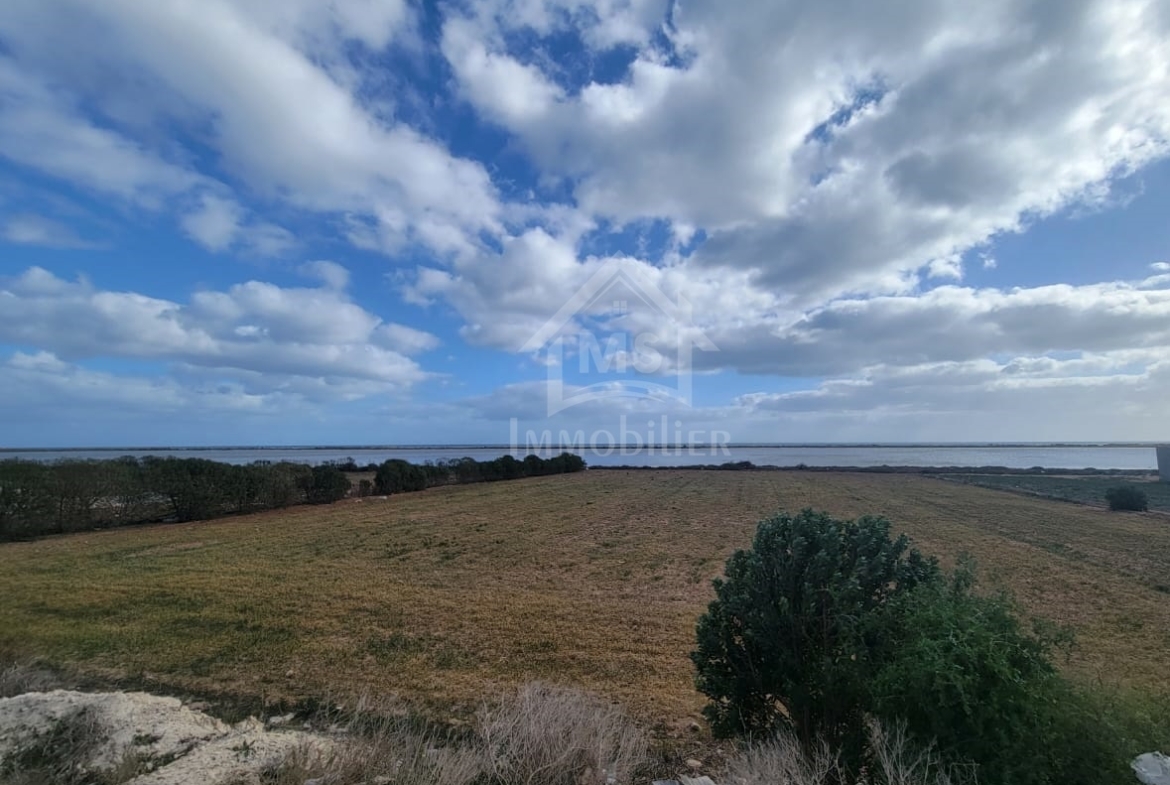 Land in Nabeul,