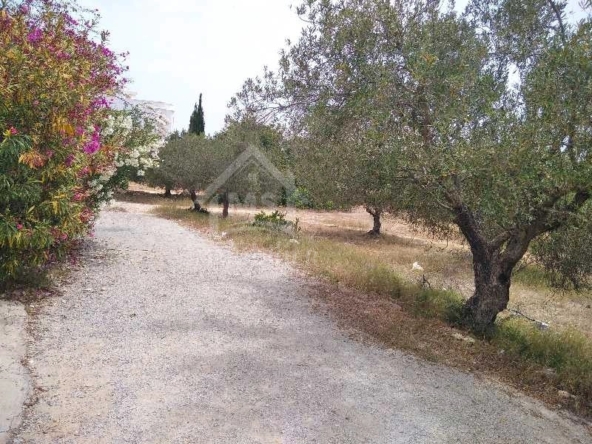 Land in Nabeul,