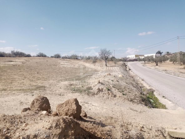 Land in Nabeul,
