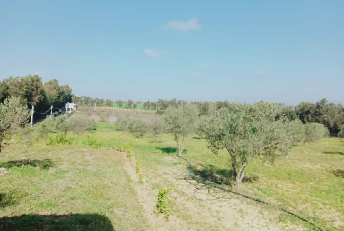 Land in Nabeul,Korba