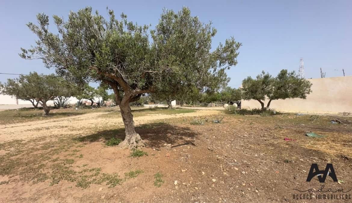 Land in Nabeul,Nabeul