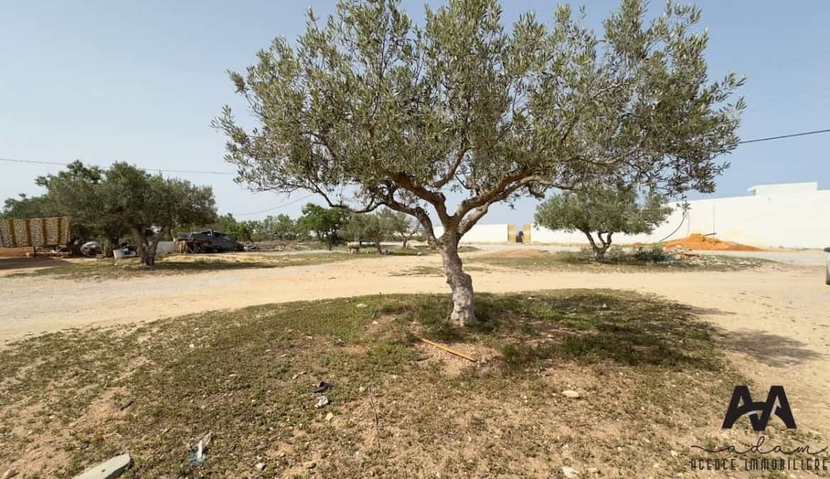 Land in Nabeul,Nabeul