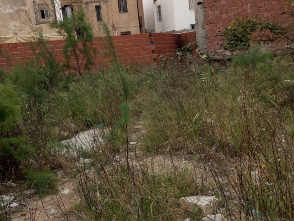 Land in Tunis,Bab bhar