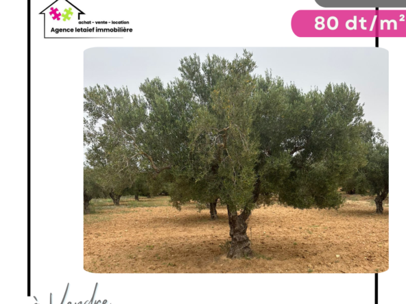 Land in Sousse,Chott Mariem
