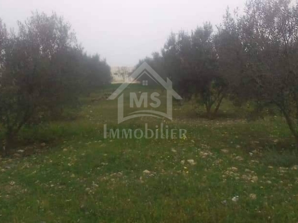 Land in Nabeul,