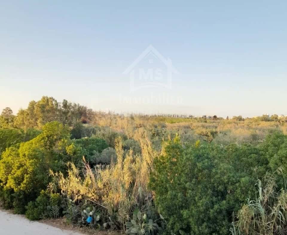 Apartment in Nabeul,