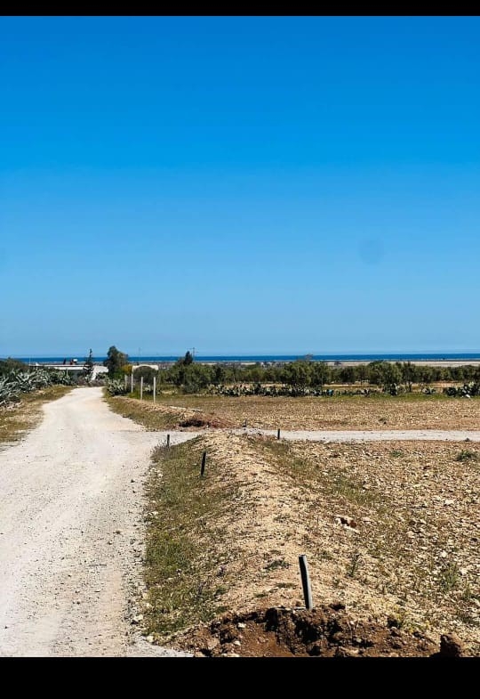 Land in ,