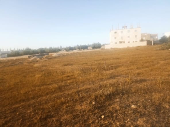 Land in ,